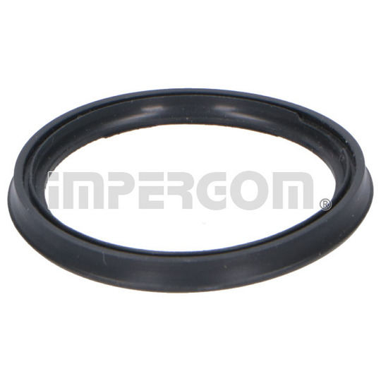 20289 - Seal Ring, turbo air hose 