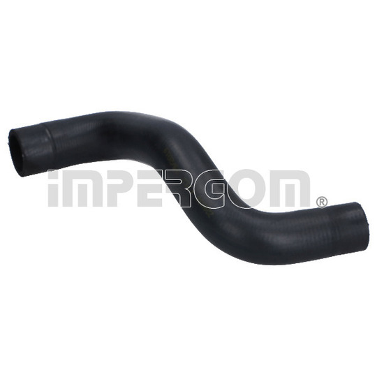 228036 - Radiator Hose 