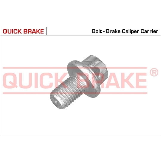 11613 - Brake caliper slideway bolt 