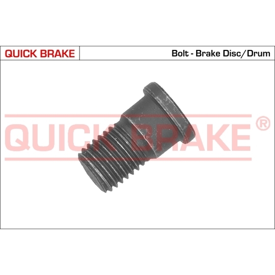 11666 - Brake disk fitting bolt 