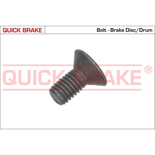 11665 - Brake disk fitting bolt 