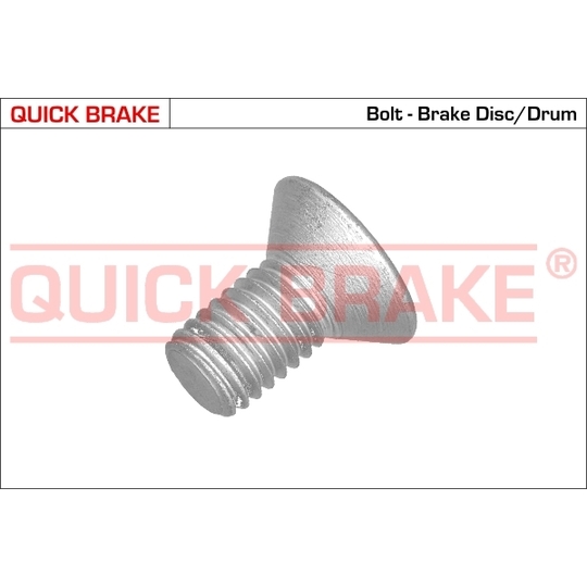 11669 - Brake disk fitting bolt 