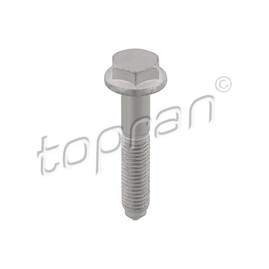 117 613 - Screw 