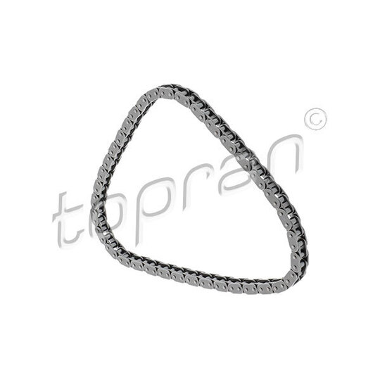 117 861 - Timing Chain 