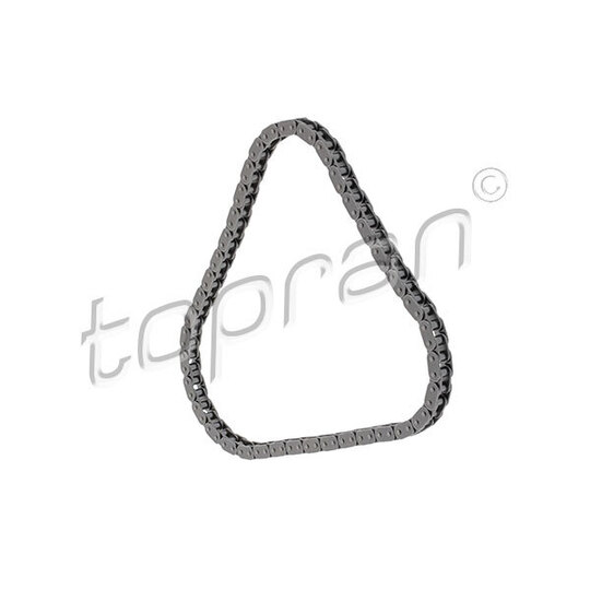 117 862 - Timing Chain 