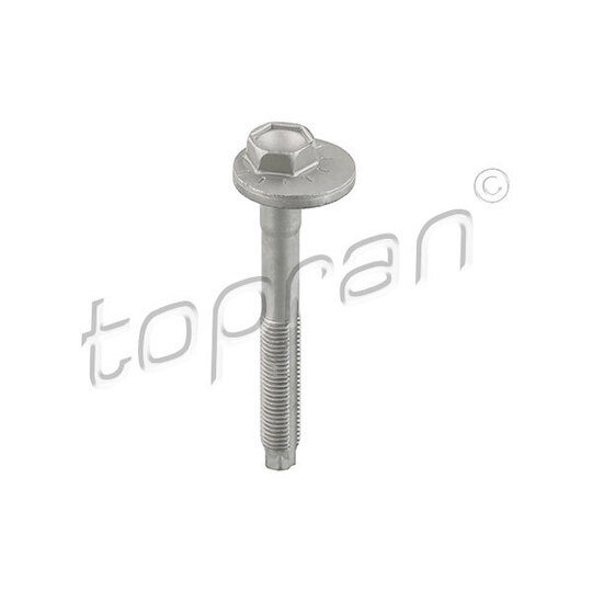 119 041 - Camber Correction Screw 