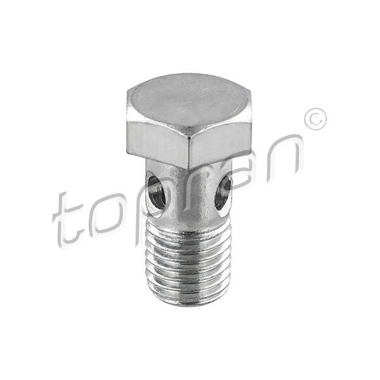 119 044 - Hollow Screw, charger 