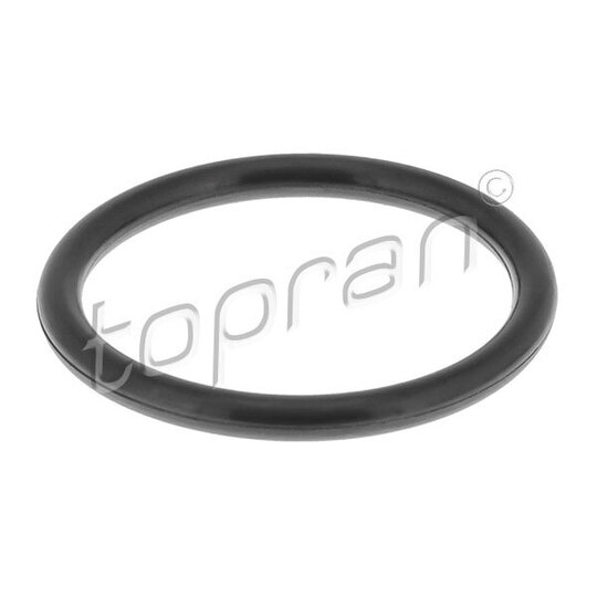 119 259 - Seal Ring, coolant tube 