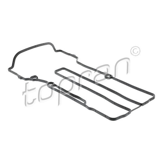 208 099 - Gasket, cylinder head cover 