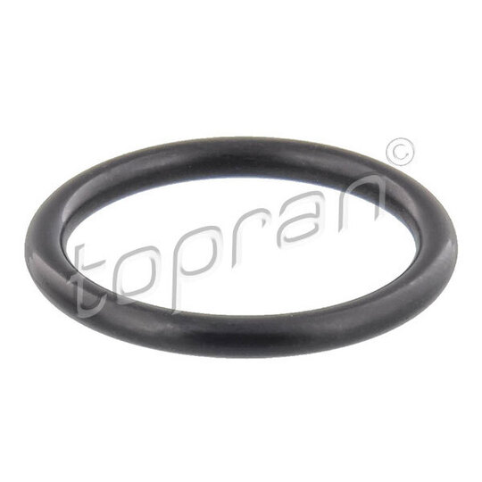 304 785 - Seal Ring, oil drain plug 