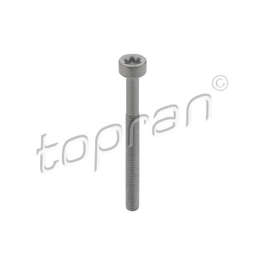 410 287 - Screw, injection nozzle holder 