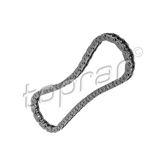 502 975 - Timing Chain 
