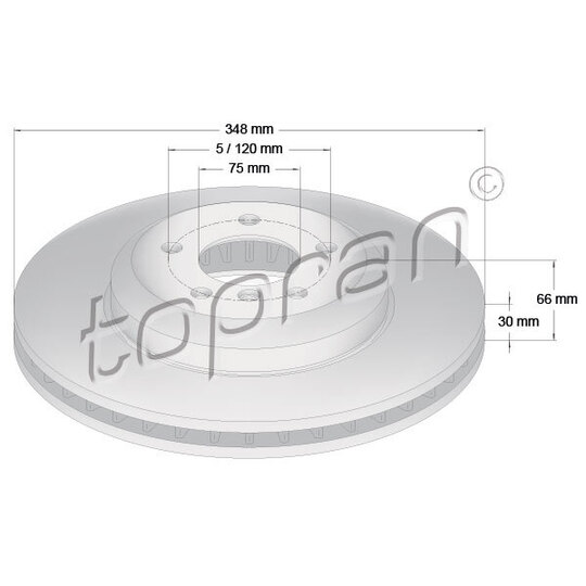 503 161 - Brake Disc 