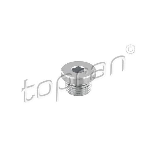 503 554 - Screw Plug 