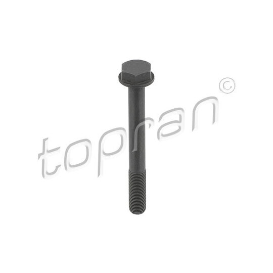 503 630 - Screw Set, gears (timing chain) 