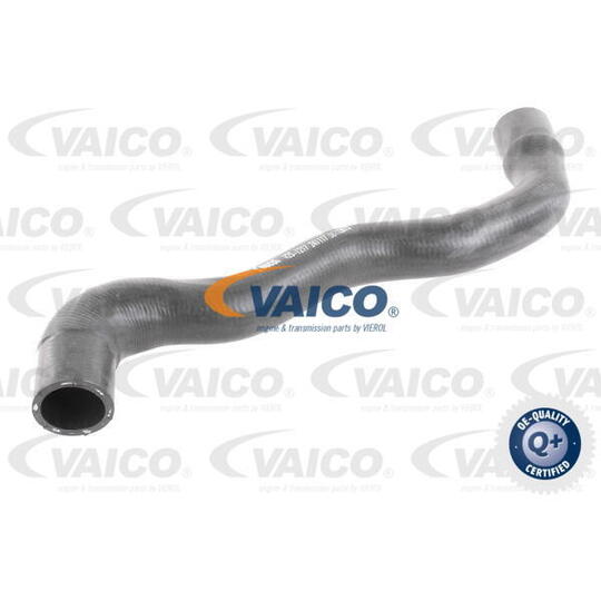 V25-1217 - Radiator Hose 