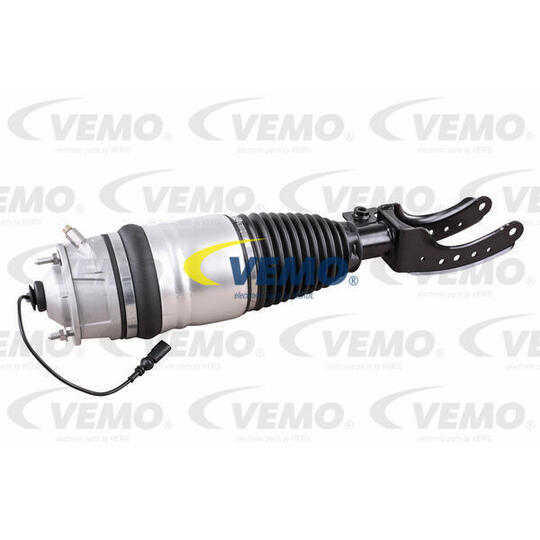 V10-50-0006 - Air Spring Strut 