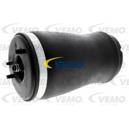 V20-50-0002-1 - Air Spring Strut 