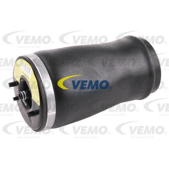 V20-50-0003-1 - Air Spring Strut 