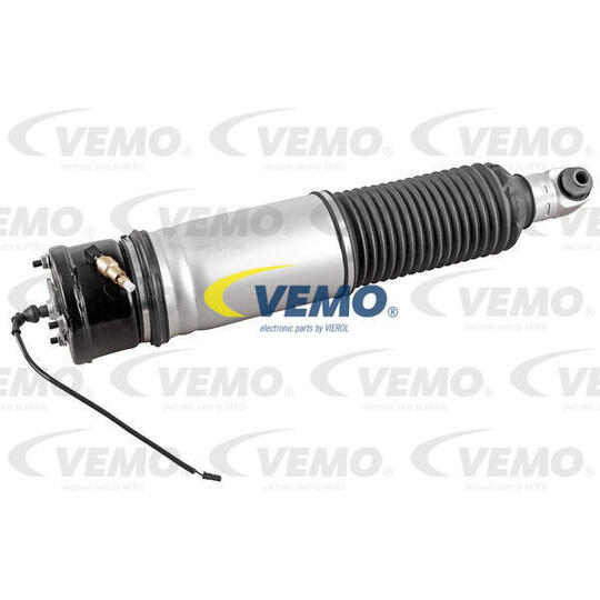 V20-50-0029 - Air Spring Strut 