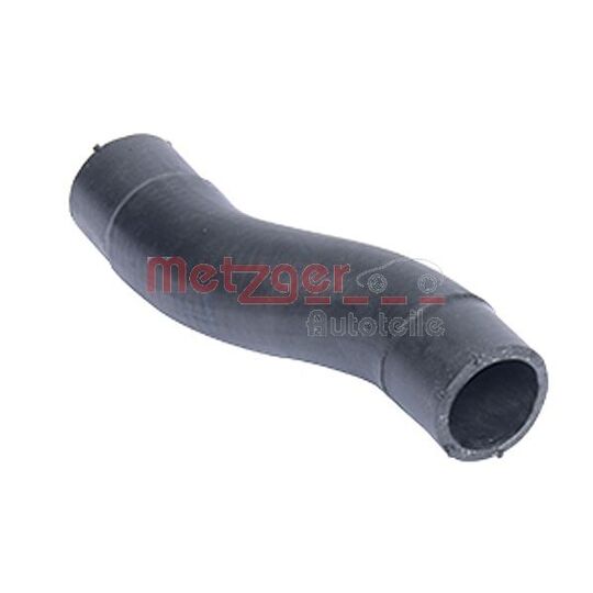 2420003 - Radiator Hose 