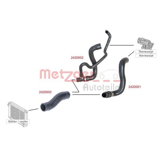 2420002 - Radiator Hose 