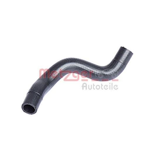 2420051 - Radiator Hose 