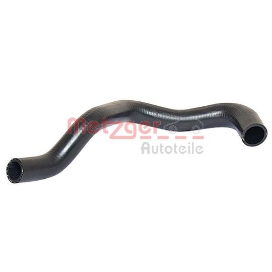 2420072 - Radiator Hose 