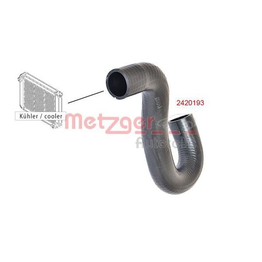 2420193 - Radiator Hose 