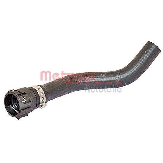 2420261 - Radiator Hose 