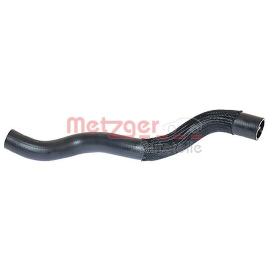 2420237 - Radiator Hose 