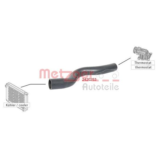 2420253 - Radiator Hose 