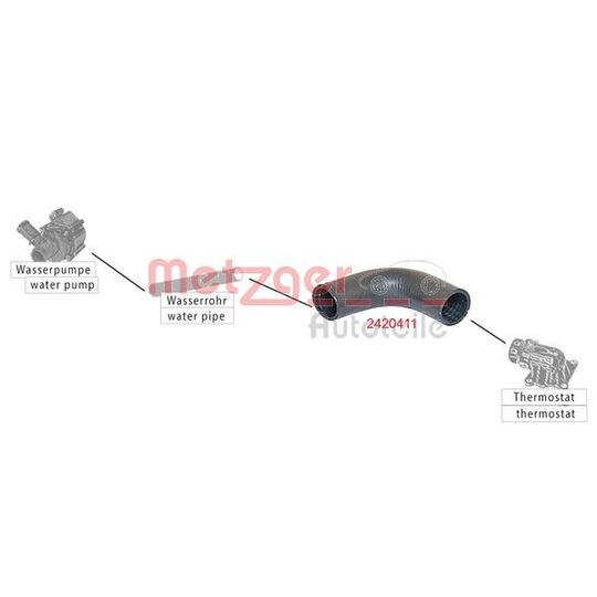 2420411 - Radiator Hose 