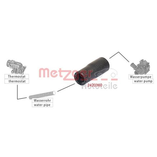 2420360 - Radiator Hose 