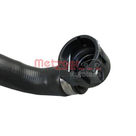 2420438 - Radiator Hose 