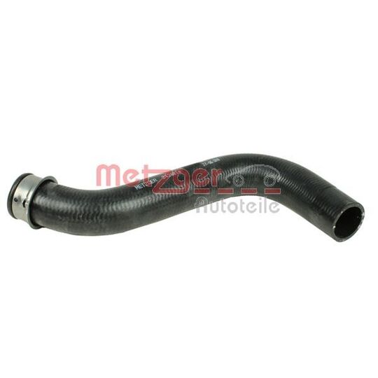 2420814 - Radiator Hose 