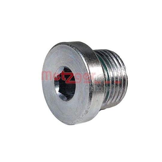 8030053 - Screw Plug, transmission housing 