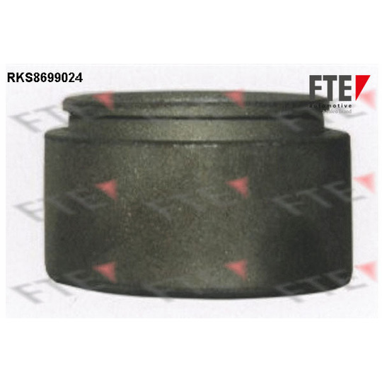 RKS8699024 - Piston, brake caliper 