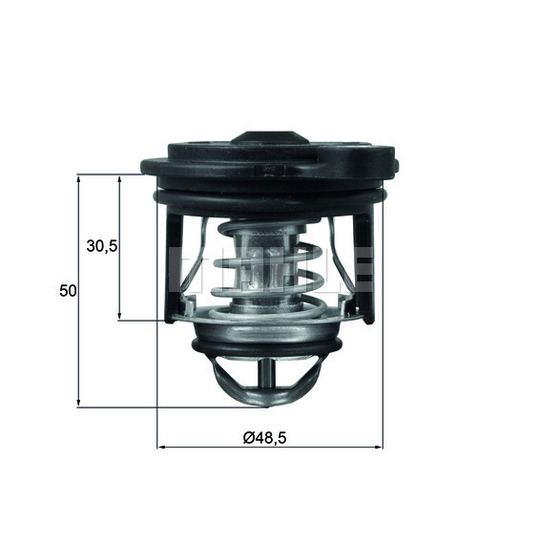 TI 246 50 - Thermostat, coolant 