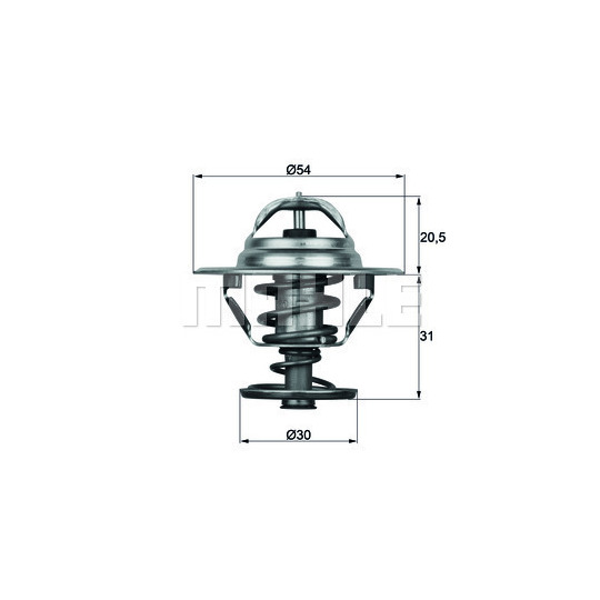 TX 10 76D - Thermostat, coolant 