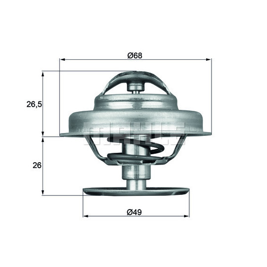 TX 62 89 - Thermostat, coolant 