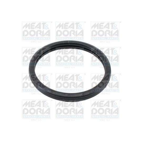 016105 - Seal, thermostat 