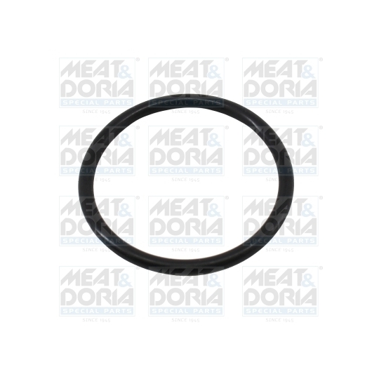 01665 - Seal, thermostat 