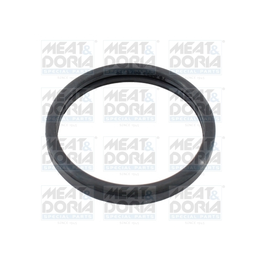 01675 - Seal, thermostat 