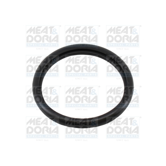 01670 - Seal, thermostat 