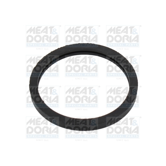 01668 - Seal, thermostat 