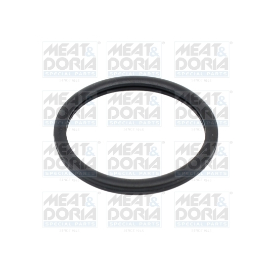 01656 - Seal, thermostat 