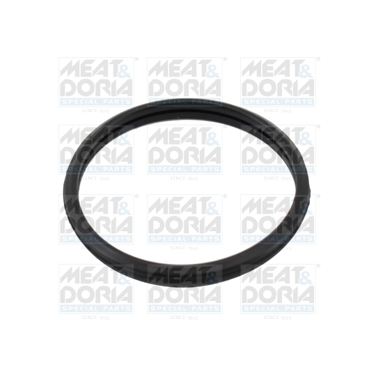 01677 - Seal, thermostat 