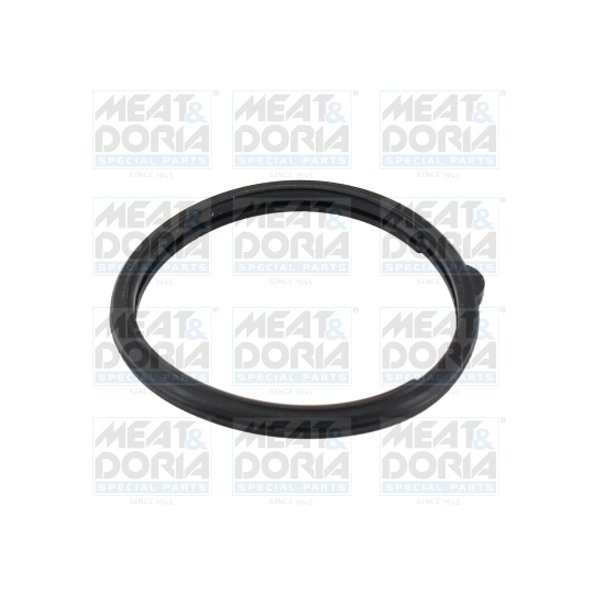 01679 - Seal, thermostat 