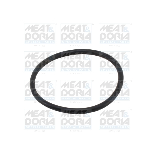 01691 - Seal, thermostat 